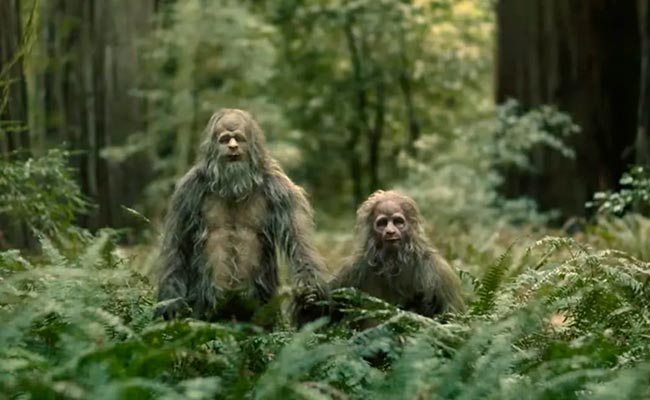 Kép a Sasquatch Sunset című filmből