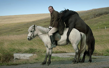 kép az Of Horses And Men című izlandi filmből