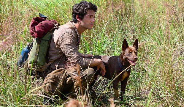 Dylan O'Brien a Love and Monsters című filmben