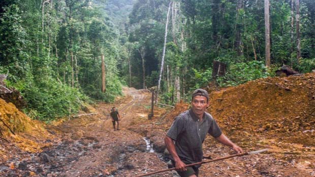 Kép az Uprooted - The Olympic Tribe (Der verschwundene Wald) című dokumentumfilmből